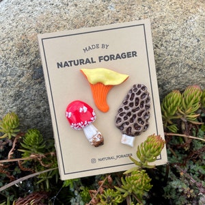 3 Pack Mushroom Pins | Clay Pins | Super Realistic Pins Amanita, Chanterelle and Morel Pins | Handmade | Mushroom Decor | Cottagecore | Pin