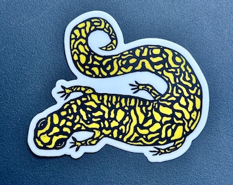 Eastern Tiger Salamander Sticker | In Color | Vinyl Decal | Water-Proof Sticker | 2.7″ × 3″