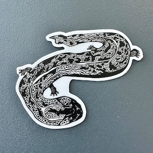 May include: Black and white illustration of a salamander with a detailed, textured pattern. The salamander is curled in a circle, with its tail wrapping around its body.