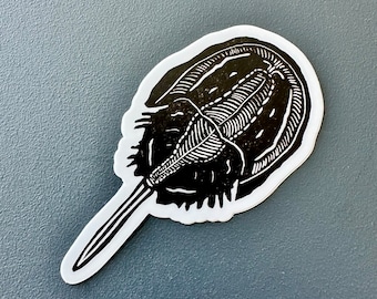 Atlantic Horseshoe Crab Sticker | Vinyl Decal | Water-Proof Sticker | 1.59" x 3"