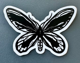 Queen Alexandra's Birdwing Sticker | Vinyl Decal | Water-Proof Sticker | 3" x 2.09"