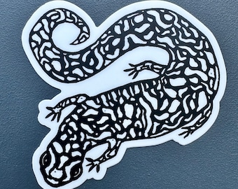 Eastern Tiger Salamander Sticker | Vinyl Decal | Water-Proof Sticker | 2.7″ × 3″