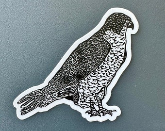 Peregrine Falcon Sticker | Vinyl Decal | Water-Proof Sticker | 3" x 2.78"