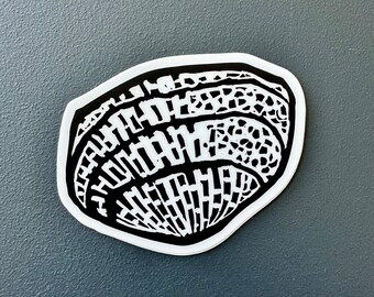 Cumberlandian Combshell Sticker | Linocut Sticker | Vinyl Decal | Water-Proof Sticker | 2.25″ × 1.68″