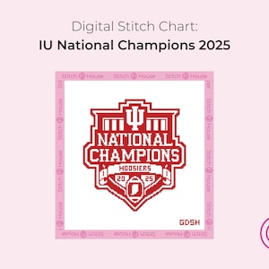Indiana Hoosiers National Meister Digitale Nadelspitze