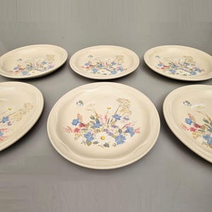 May include: A set of six cream-coloured ceramic plates. Each plate features a floral design with blue, pink, and white flowers. The plates have a scalloped edge.