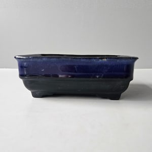 May include: A rectangular bonsai pot with a dark blue glazed rim and a black base. The pot has a low profile and is designed for planting small trees or shrubs. The pot is made of ceramic.