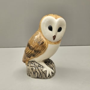 May include: A ceramic owl figurine with a white face, black eyes, and a brown beak. The owl's body is a mix of brown and white, perched on a textured, grey base. The figurine is a decorative item.