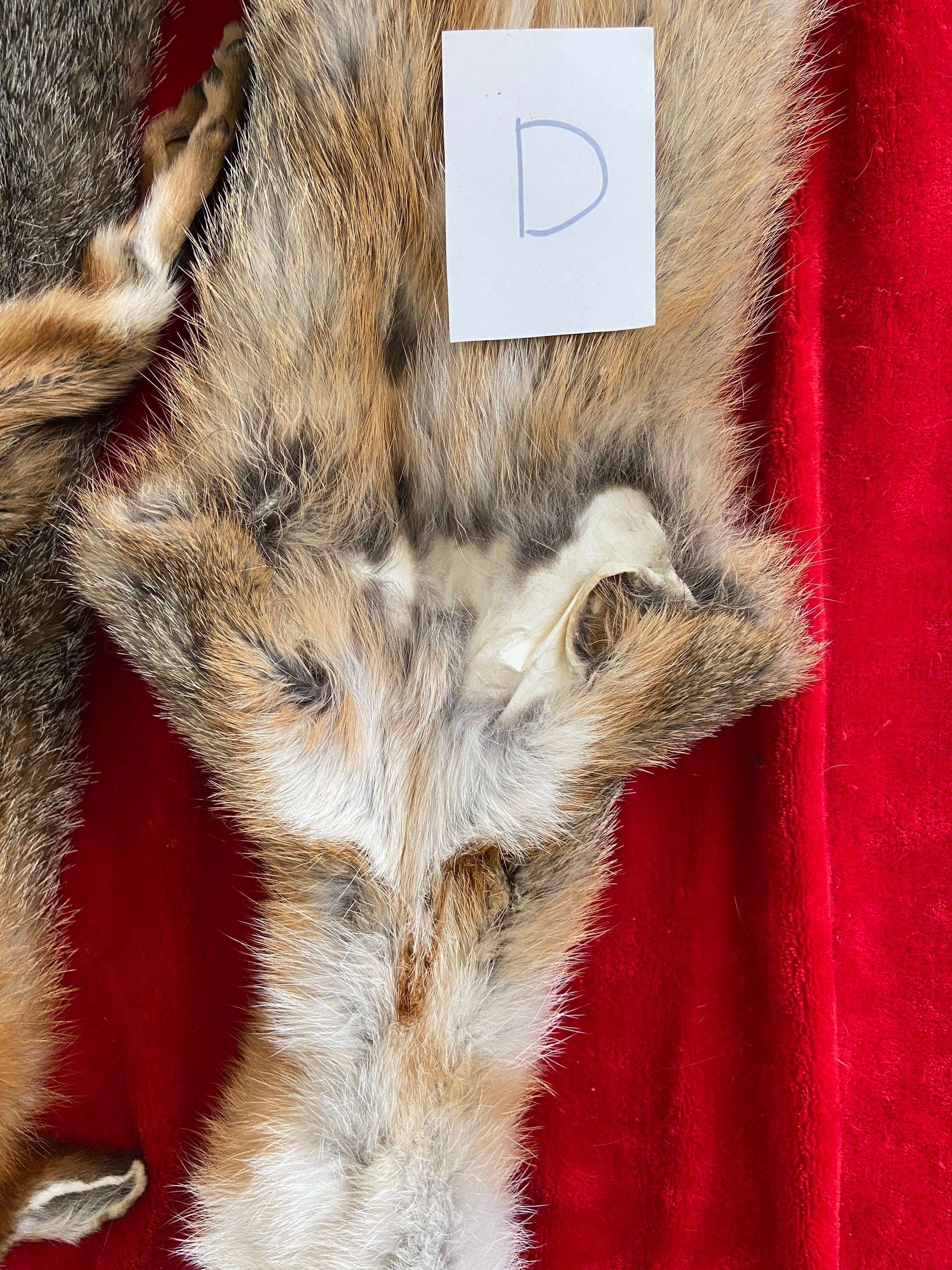 Una piel de zorro gris Etsy