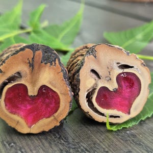 Natural Heart Gift From Nature - Black Walnut Heart Shell Pair - Heart Shaped Keepsake - Woodland Gift - Dainty Heart - Unique Friendship