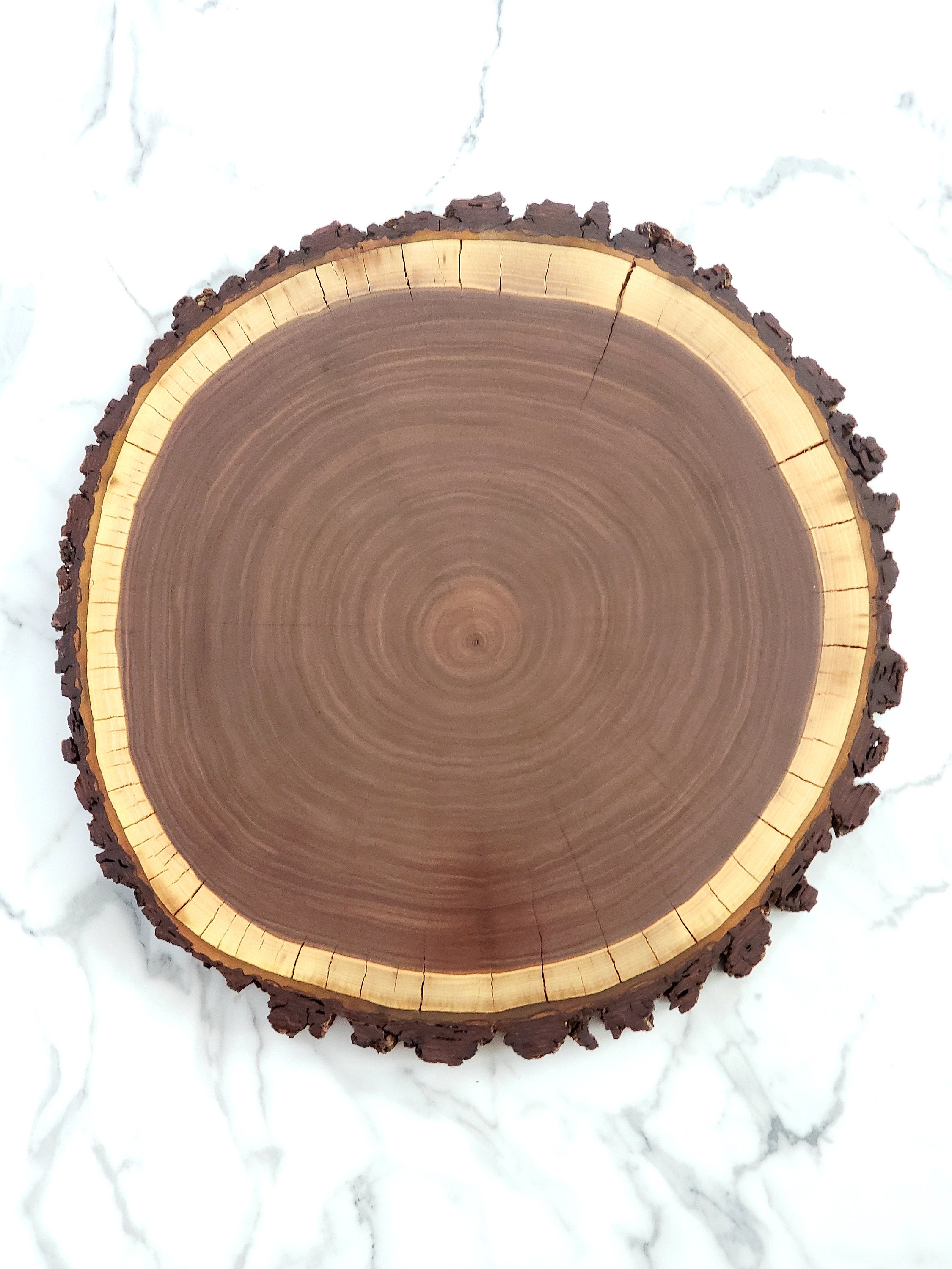 XL Big Wood Log Tree Trunk Slice Disc Slab For Crafts Natural Rustic Decorative 