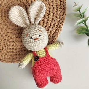 May include: A crochet rabbit doll with long ears, a cream-colored head, and embroidered facial features. The doll wears a pale yellow long-sleeved shirt under red overalls with a single dark brown button on the front chest strap area.