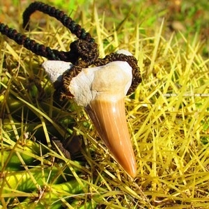 Shark tooth  macramé necklace/Diente de tiburón fosilizado en Macramé/Tribal ethnic macrame jewellry/Amuleto protector/ Shark tooth pendant