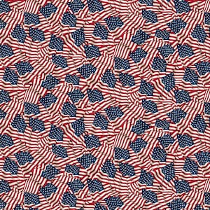 Stonehenge Stars & Stripes - 24284-49 - Half Yard