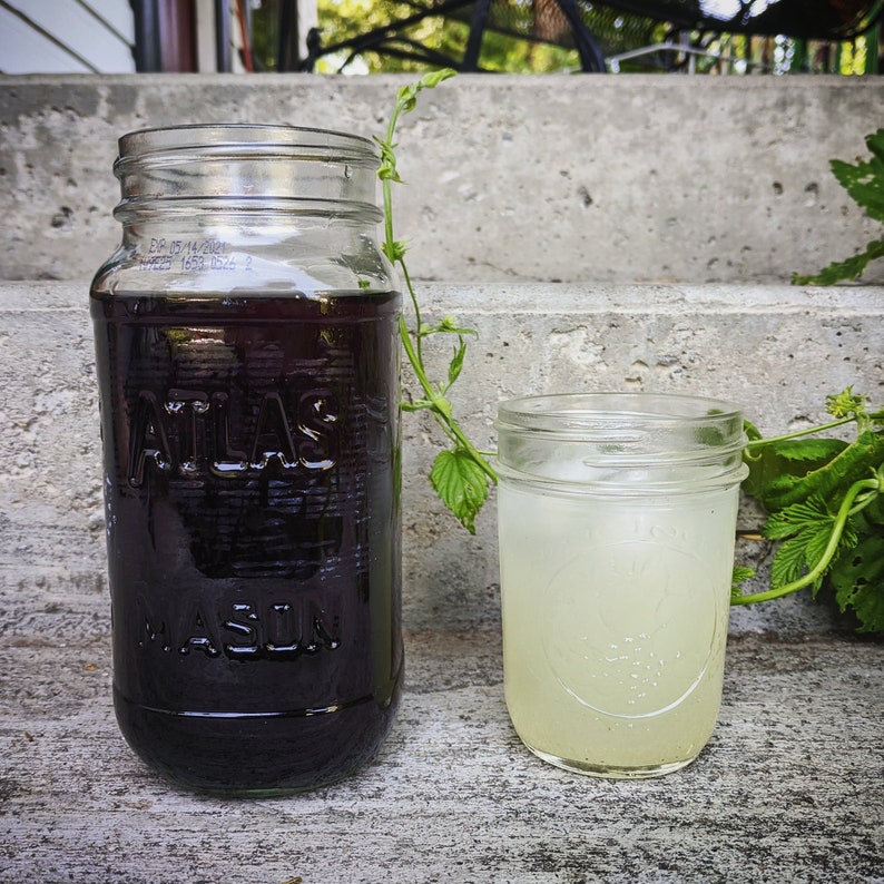 Butterfly Pea Flower Tea: Color Changing Herbal Tea Blend image 8
