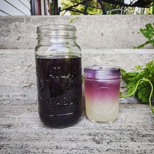 Butterfly Pea Flower Tea: Color Changing Herbal Tea Blend image 9