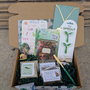 May include: An open cardboard box filled with green crinkle paper and various items. Includes a journal, tea packets, a pen, a small house figurine, and a card with the word "MAGIC". A teal envelope and sprout-shaped bookmarks are also visible.