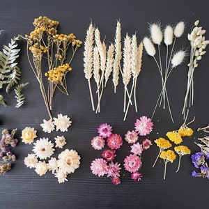 Organic Dried Floral Craft pack, Dried plants, grass, flower stems, DIY dry flowers,  Flower Offcuts, Resin, Candle making Preserved flowers