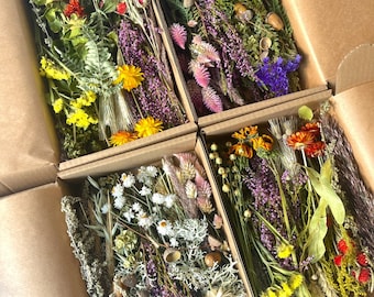Dried Flower Craft Box: Organic Wildflower Mix for DIY Decor
