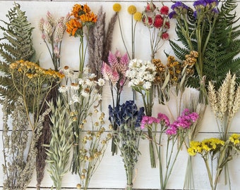 Dried Flower Bunch: Organic Floral Stems, Wedding Table Decor