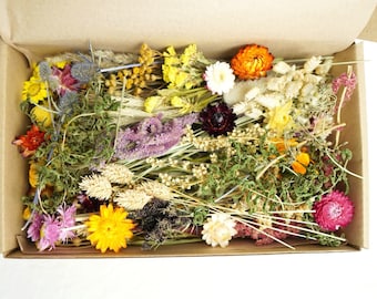 Dried flowers DIY Craft Pack with Preserved flowers organic bundle Box, Dry Flowers Epoxy Resin, Candle making, Jewelry Craft, Soap making