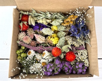 Dried Flower Box, Resin Epoxy Supplies, Candle Making, Soap Dry Wildflowers, Crafting box, Preserved Mini Flower Head mix, Confetti mix
