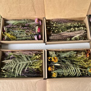 Op de afbeelding: Verschillende open kartonnen dozen gevuld met gedroogde bloemen en groen. De dozen bevatten een verscheidenheid aan kleuren, waaronder geel, paars en groen. De opstelling omvat varens, grassen en andere gedroogde bloemelementen.