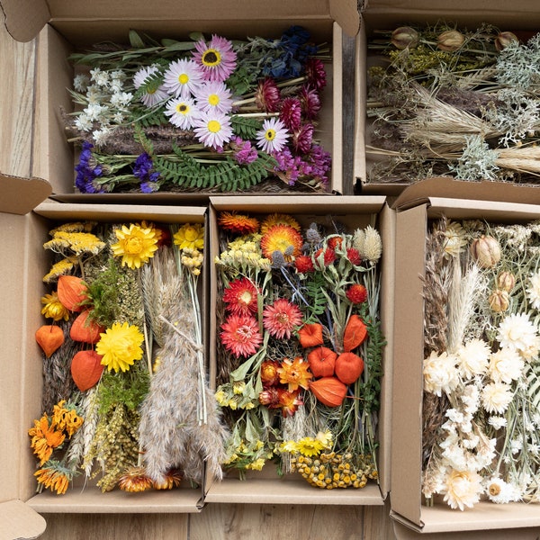 Dried Flower Mix Craft Boxes, Dried Grasses Crafting, Preserved Assortment, Resin dry flowers, Botanical pack, Jewelry, Soap, Candle Making