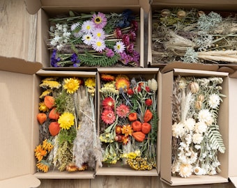 Cajas artesanales de mezcla de flores secas, elaboración de pastos secos, surtido preservado, flores secas de resina, paquete botánico, joyería, jabón, fabricación de velas