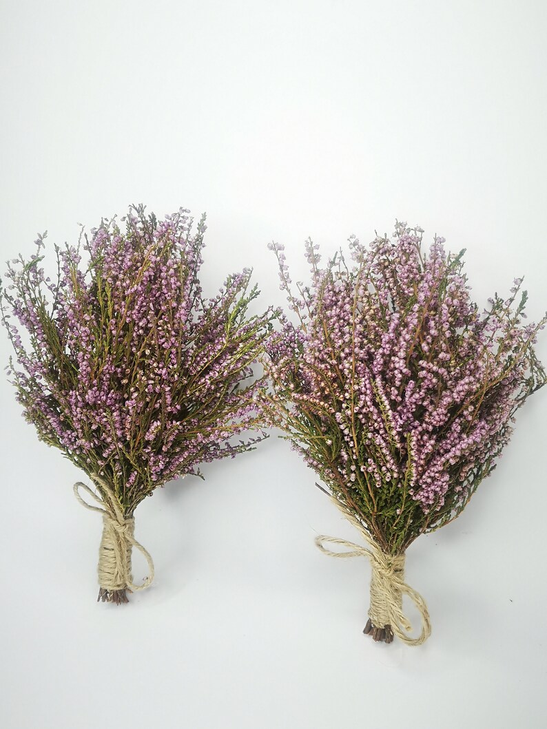 Dried heather flower bouquet Dried heather flower bunch Etsy
