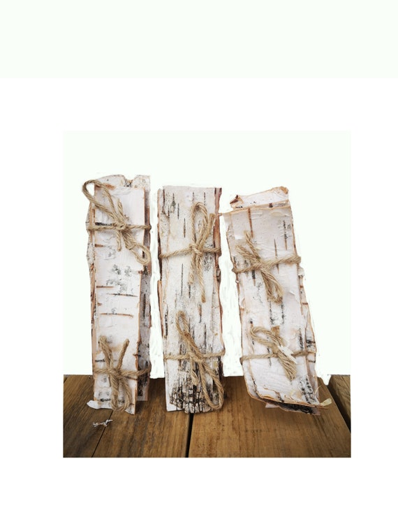 White Birch barksBirch bark tapes Etsy