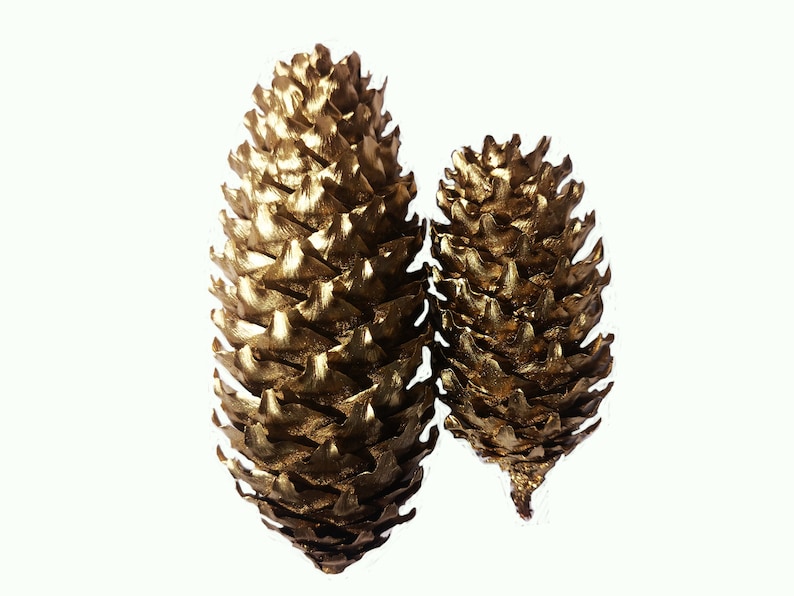 Natural Pine Cones Pine Cone decoration Gold Craft Pine Cones Gold Painted Pine Cones