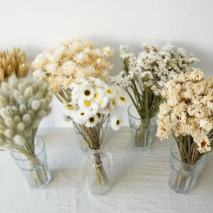 Weiß Beige Trockenblumen | Dekor Blumenvase | Erstellen Sie Ihren eigenen Blumenstrauß | Getrocknetes Gras | Hasenmärchen | Gänseblümchen | Hochzeit Tischdeko