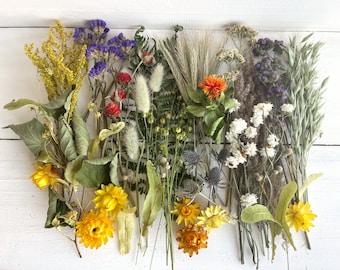 Dried Flower Craft Pack, Floral Arranging, DIY Decor Making, Candle, Soap, Epoxy, Resin Making, Wedding Table Decor, Crafting Supplies