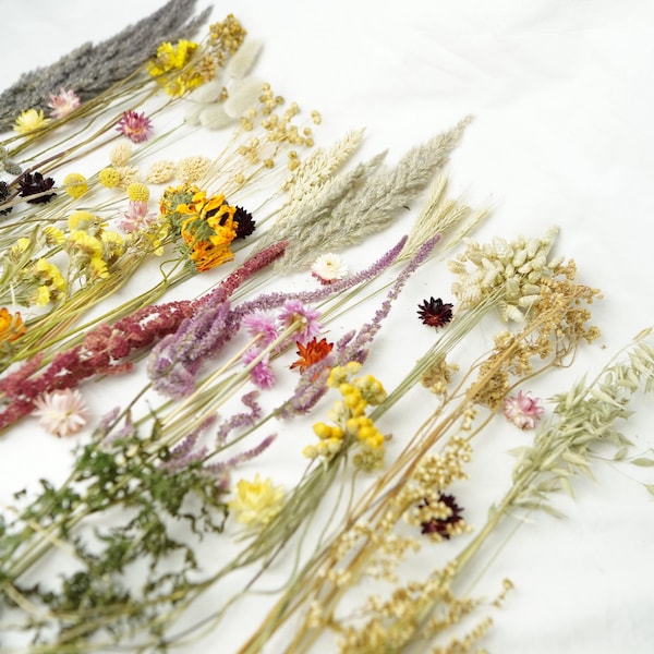 Boîte à fleurs séchées bio pour créations manuelles Fabrication de bougies Fleurs séchées bio pour bijoux en résine Ensemble de mini fleurs en kit
