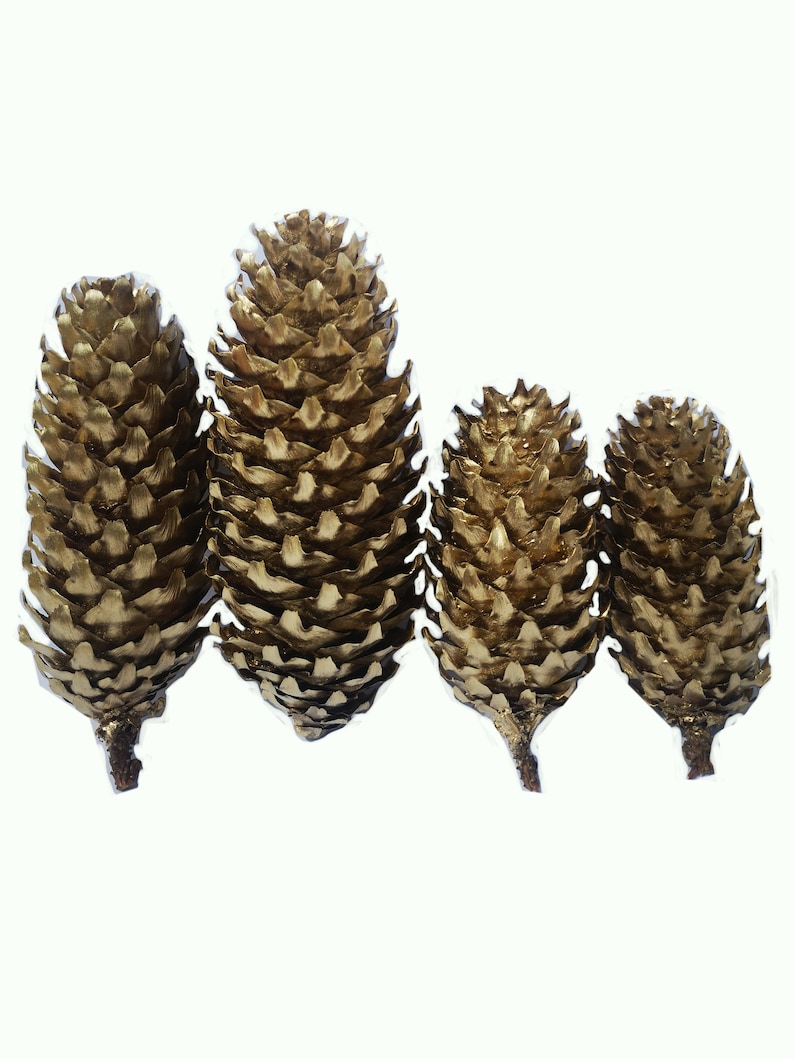 Natural Pine Cones Pine Cone decoration Gold Craft Pine Cones Gold Painted Pine Cones