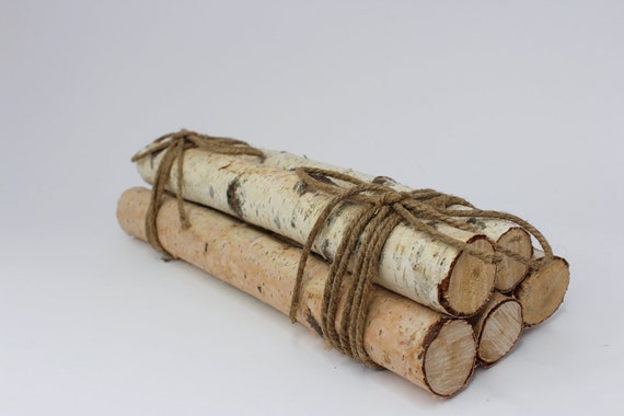 Birch Logs Winter Birch Decoration Birch Wood Etsy