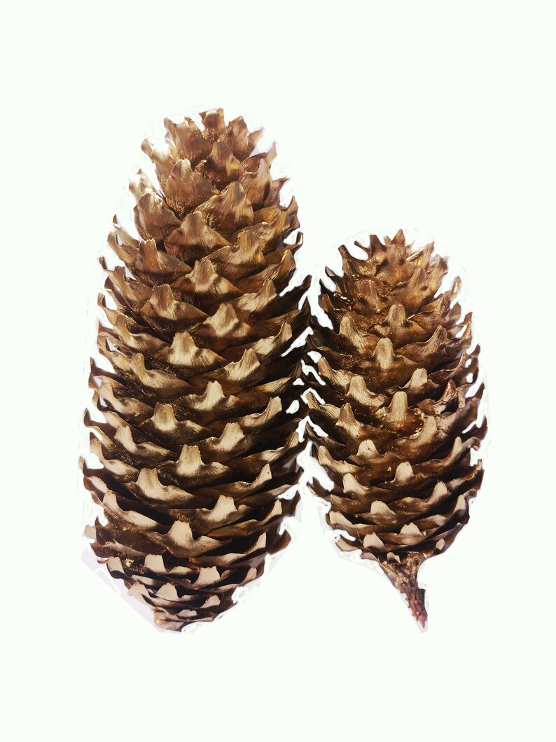 Natural Pine Cones Pine Cone decoration Gold Craft Pine Cones Gold Painted Pine Cones