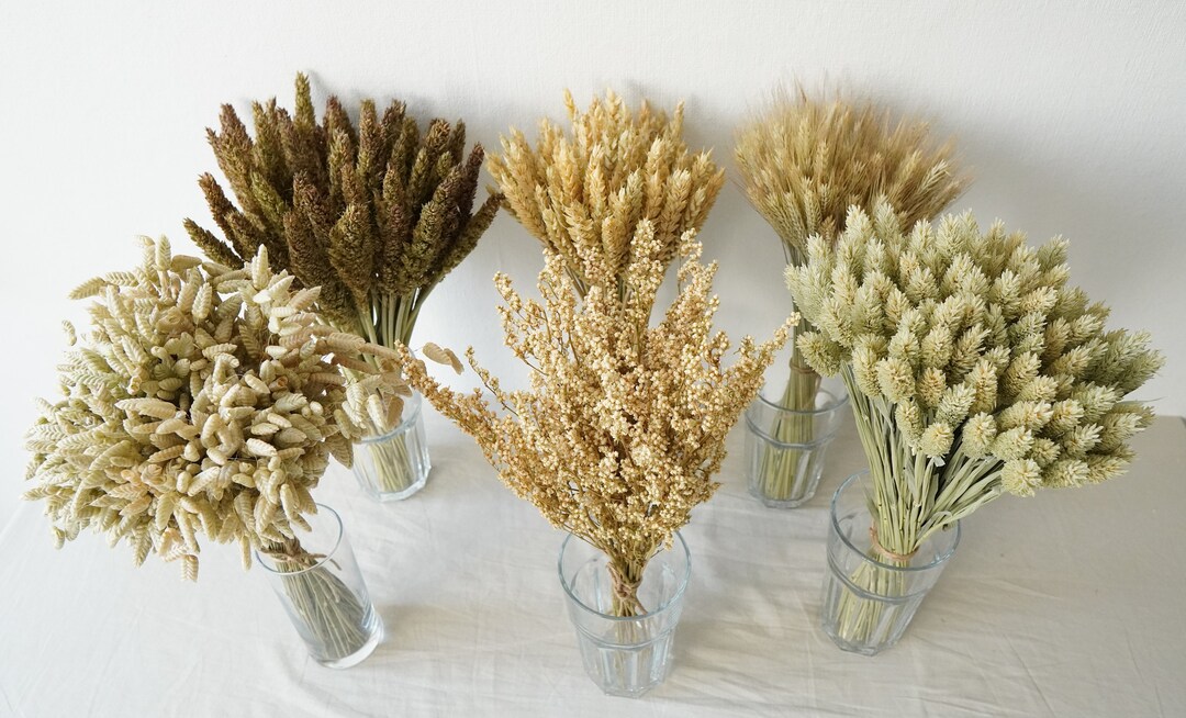 Dried Grass Bunches, Dried Flowers, Rustic Table Decor, Flowers for Bud ...