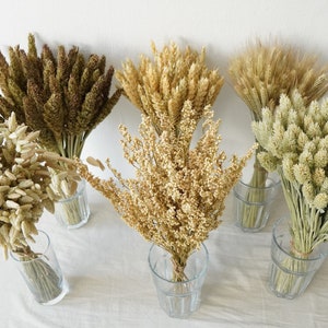 Dried Grass Bunches, Dried Flowers, Rustic Table Decor, Flowers for Bud Vase, Dried Fall Decor, Dried Wheat, Dried Bouquet, Dried Herbs