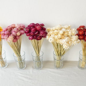 Dried Strawflower Stems Bouquet Colorful Flowers for vase Floral Arranging Flower Gift for Her Letterbox of flowers Vase Flowers image 3