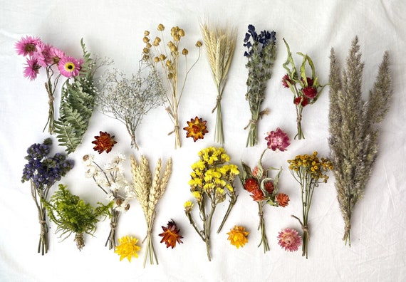 DIY Dried-Flower Crafts