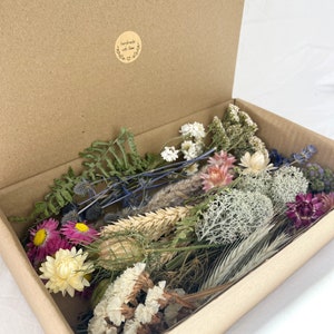 Dry Flower Craft Box, Dried Grasses and flowers box, Preserved organic, Resin, Botanical kit pack,  candle props, Jewelry making, Crafting