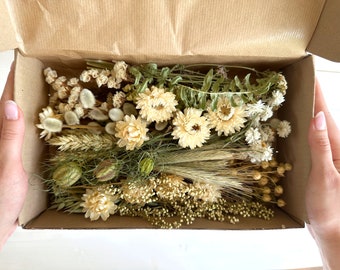 Cream White Dried Flower Craft Box, DIY Wedding Decor Supplies, Preserved Sustainable, Mini Posies, Candle, Soap Making, Resin, Epoxy