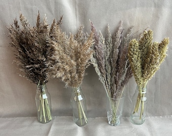 Dried Grasses Stems, Vase Home Decor, Dried Plants, Pampas Feather grass, Fluffy Grass Bunch, Natural Dried Decor, DIY Arrangement, Resin