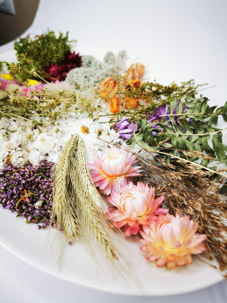 Botanical dry flower craft pack / Grass set for candles resin jewellery crafting, Flowers & petals, Flowers for craft projects, craft kit