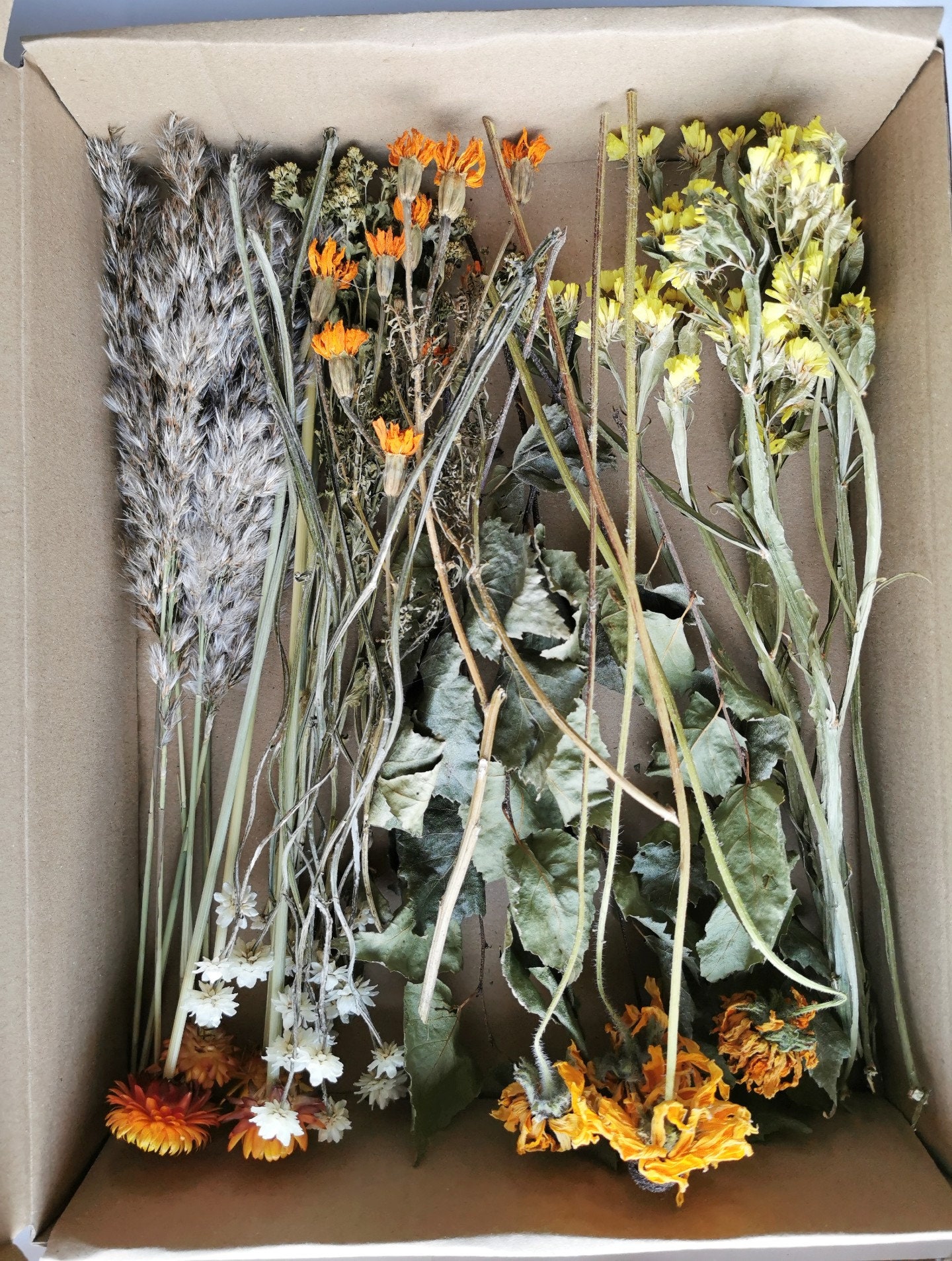 Letterbox of dried flowers diy bouquet Warm home decor Dried Etsy