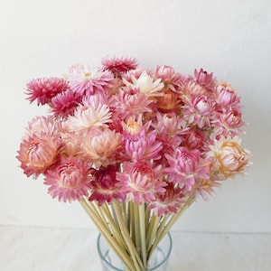 Getrocknete Strohblumenstrauß Bunte Blumen für Vase Blumenarrangement Blumengeschenk für Sie Buchstabenblumen Blümchen . Vase Blumen Light Pink (1 stem)