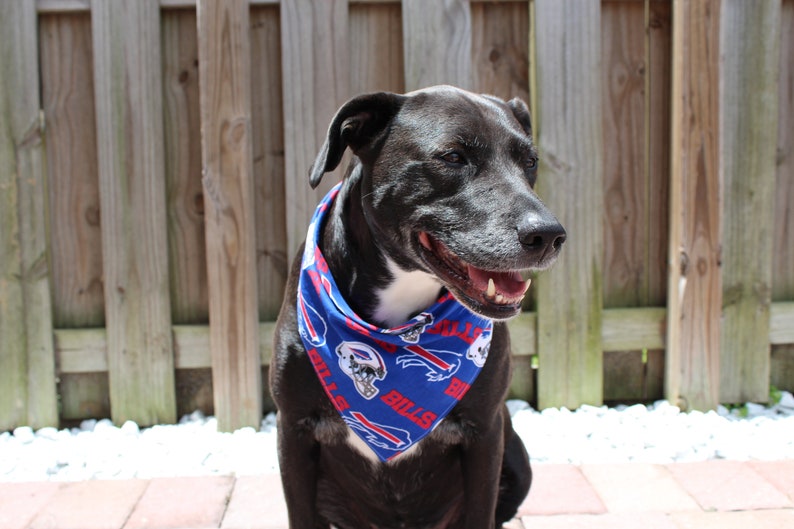 buffalo bills dog jersey