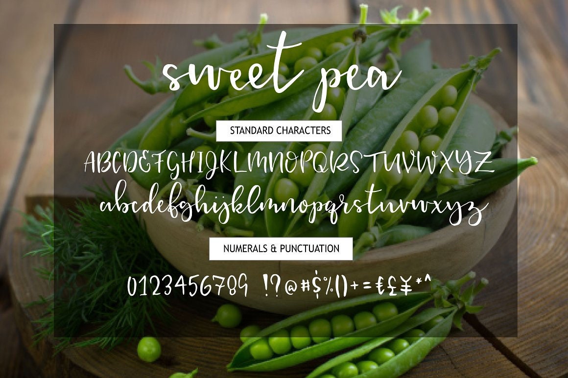Sweet Pea Handmade Script Font Instant Download Etsy
